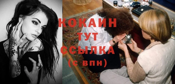 первитин Дмитриев