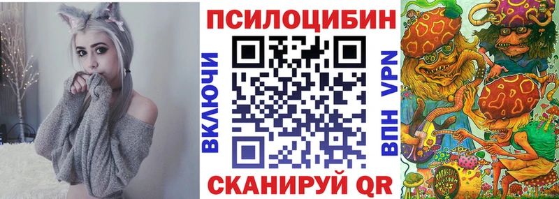 Купить где  Краснозаводск  Псилоцибиновые грибы Cubensis 